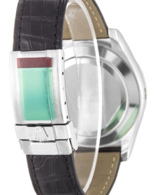 Daytona Mother of Pearl - Black Dial 116519 Angle Detail