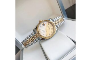 Datejust RG/SS Jub Gold/Dial Feature Highlight