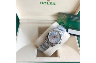Oyster Perpetual SS/SS Sliver/Stk Design Element