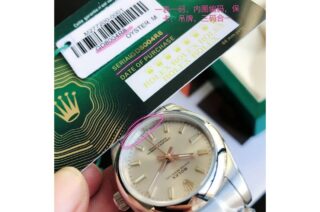 Oyster Perpetual SS/SS Sliver/Stk Profile Shot