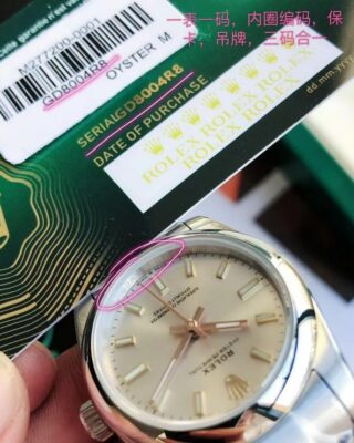 Oyster Perpetual SS/SS Sliver/Stk Profile Shot