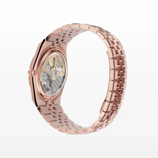 Land-Dweller 36 mm Everose gold Close-Up Focus