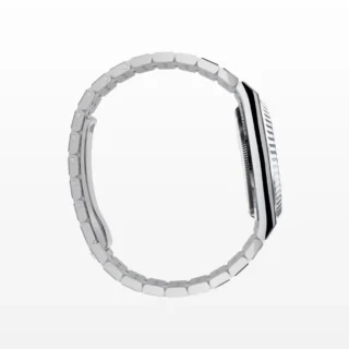 Land-Dweller 36 mm platinum Feature Highlight